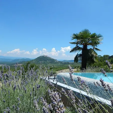 Villa Le Grand Cru